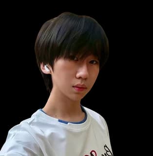 崔淳然